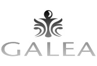 galea